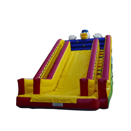 Main view of the 18ft Donald Duck Dry Slide