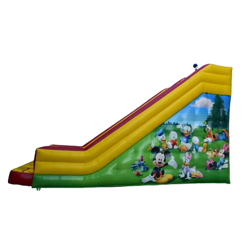 Side view of the 18ft Donald Duck Dry Slide